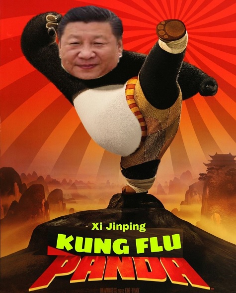 kung flu panda.jpg